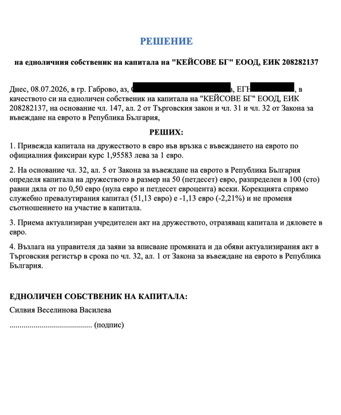 Решение на едноличния собственик на капитала